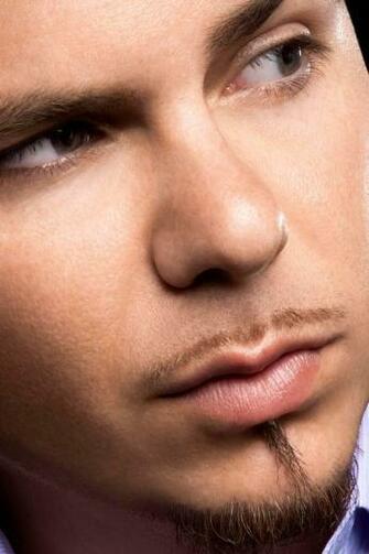 Wallpaper Pitbull Suit Beard Face Look iPhone 4s