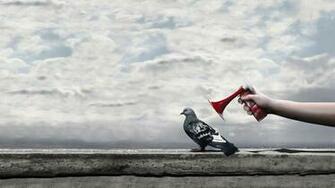 The Practical Pidgeon Joke Wallpaper