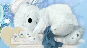 Sleep Good Night Teddy Bear HD Wallpaper Rocks