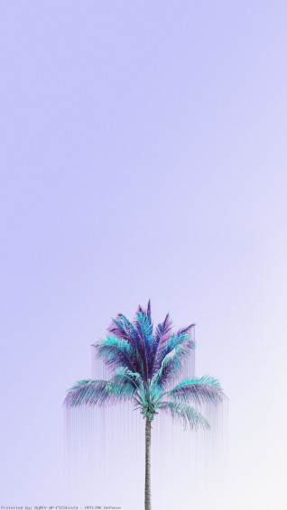 Mint Green iPhone Wallpaper