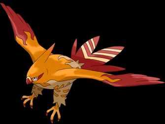 Talonflame Shiny Theory By Hgss94