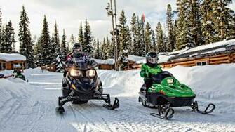 Zr Arctic Cat