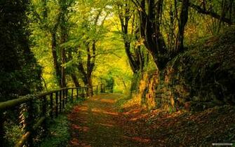 Nature Wallpaper HD Landscape