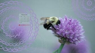Desktop Wallpaper Calendar February To
