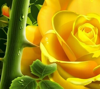 Cool Yellow Rose Wallpaper Desktop Collection Laptop