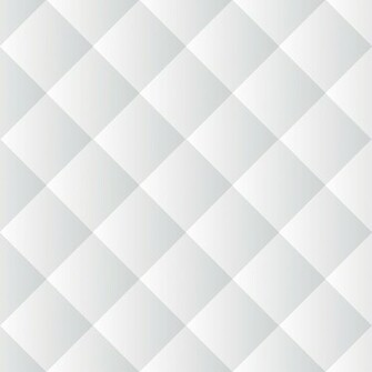 Seamless White Background