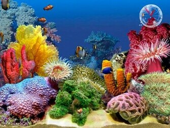 Cloudeight Premium 3d Screen Savers Fun Safe