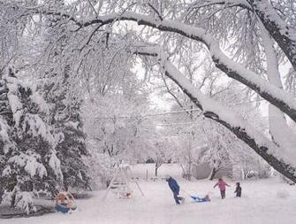 Snow Falling Wallpaper