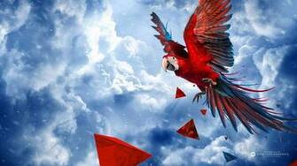 Good Morning Tweety Birds Image HD Quality Related Most
