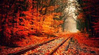 Autumn Wallpaper Best