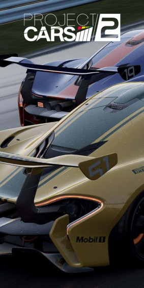 Race To The Finish Line With Pixel And Project Cars Wallpaper