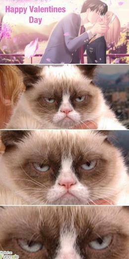 Grumpy Cat Hates Valentine S Day Funmole