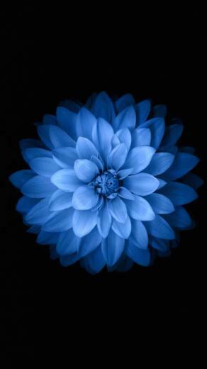 Collection Of Creative iPhone 6s Wallpaper Thepixelbeard
