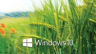 Tags Windows Wallpaper HD