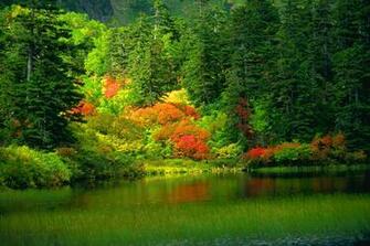 Cool Nature Wallpaper Widescreen