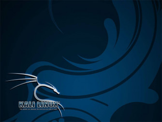 Kali Linux Wallpaper
