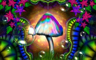 Shroom Lets Wallpaper Have Psychedelic Wg