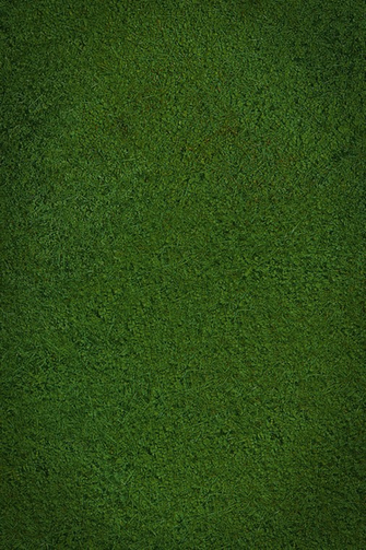 iPhone Green Grass Wallpaper
