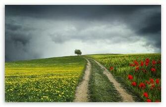 Country Road Summer HD Desktop Wallpaper Mobile Dual Monitor