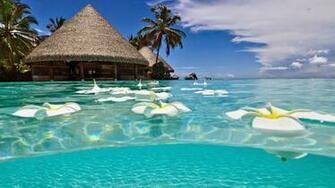 Beach HD Wallpaper