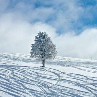 iPad Wallpaper Winter Scenery Natural