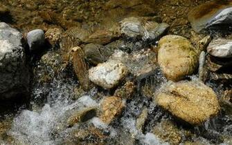 Pebbles Wallpaper Pictures Image
