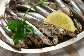 Anchovy Stock Photo Royalty Wallpaper