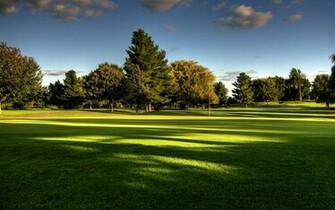Nike Golf Wallpaper Trees Lawn