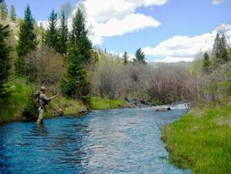 Tenkara Tracks