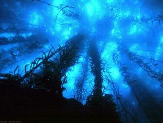 Deep Oceans Can Mask Global Warming For Decade Long Periods