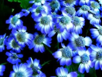 Wonderful 3d HD Wallpaper Collection