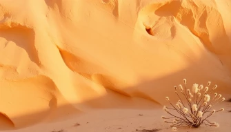 Sandstone Background