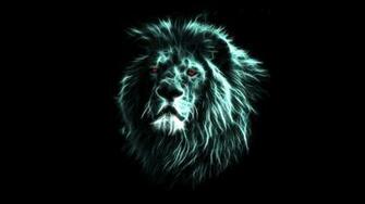 Lion Wallpaper Full HD On 1080p Jjj In