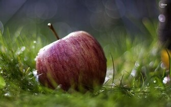 Apple Grass Wallpaper