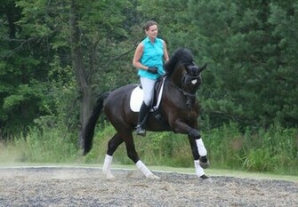 Pratique De Dressage Wallpaper