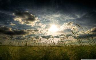 Peaceful Summer Day 4k HD Desktop Wallpaper For Dual Monitor