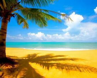 Wallpaper Desktop Nature Bollywood Sports Mobiles Cars