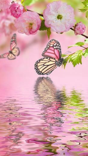 Spring Flowers Live Wallpaper Android Apps On Google Play