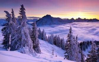Purple Winter Sunset Wallpaper HD
