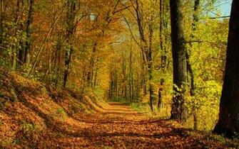 Autumn Scenery Wallpaper Beautiful Desktop