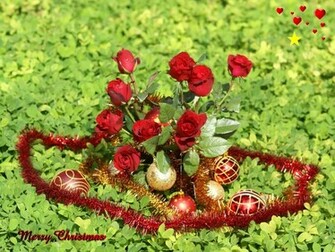 Nature Flowers WallpaperHD Wallpaper