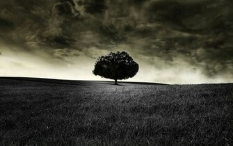 Fresh HD Wallpaper Black 1080p