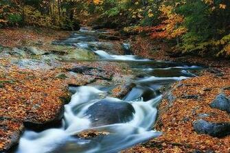 Stream In Autumn Maine Wallpaper Wall Mural Self Adhesive Multiple