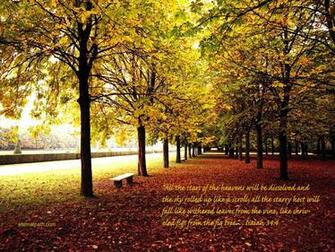 Desktop Wallpaper Fall Trees In HD