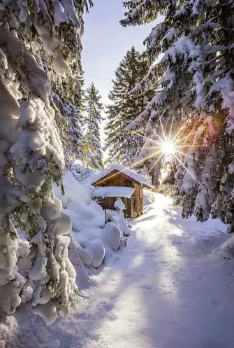 Winter Wallpaper