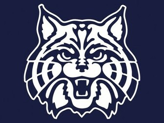 Arizona Wildcats Football HD Wallpaper