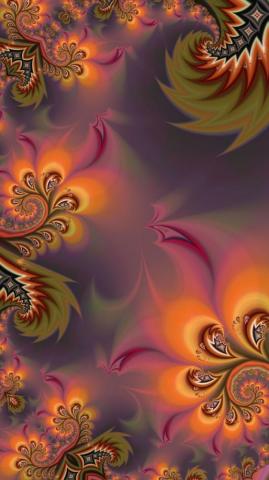 Different Beautiful Cellphone Wallpaper Background
