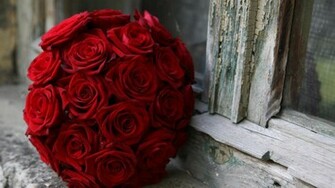 Red Roses Flowers Pictures HD Wallpaper Of Flower