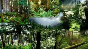 Pacific Northwest Wallpaper