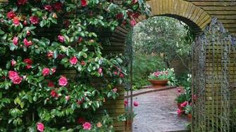 Garden Fine Wallpaper